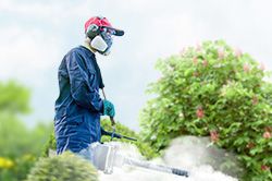 Обработка сада от паразитов - необходимые меры и их регулярность  в Ростове-на-Дону