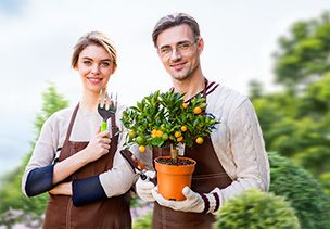 Проект «под ключ» где можно заказать по низкой цене  в Ростове-на-Дону