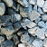 Kamenclub.ru: Щебень галтованный зеленый (змеевик) фр. 50-100 мм.  купить в Ростове-на-Дону галтовка мраморная зеленый, салатовый мрамор 12 500 руб/т   фото КАМЕНЬ КЛУБ