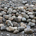 Kamenclub.ru: Речной валун (Ассорти) фр.100-300 мм.  купить в Ростове-на-Дону галечник серый, темно-серый, светло-серый речная галька крупных размеров 4200 руб/т   фото КАМЕНЬ КЛУБ