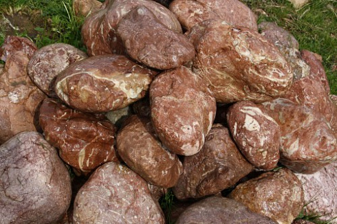 Kamenclub.ru: Розовый валунчик фр.100-300 мм.  купить в Ростове-на-Дону крупный природный камень розовый, серый молочный красный речной галечник природный 7850 руб/т   фото КАМЕНЬ КЛУБ