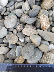 Kamenclub.ru: Галька речная окат (пестрая) фр. 20-40 мм. купить  в Ростове-на-Дону галька речная пестрая, серая, серые оттенки галька речная окатанная округлая 5000 руб/т   фото КАМЕНЬ КЛУБ