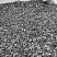 Kamenclub.ru: Щебень крошка черный (мрамор) фр. 10-20 мм.  купить в Ростове-на-Дону мрамор черный с белыми прожилками, черный, белый каменная ландшафтная декоративная крошка щебня 11000 руб/т   фото КАМЕНЬ КЛУБ