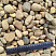 Kamenclub.ru: Галька речная окат рыжая фр. 20-40 мм. купить  в Ростове-на-Дону галька речная окатанная рыжая желтая серая округлая речная галька 5000 руб/т   фото КАМЕНЬ КЛУБ