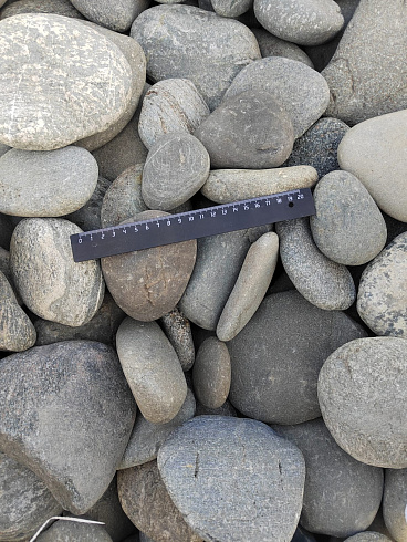 Kamenclub.ru: Галька речная плоская (серо-белая) фр. 70-120 мм. купить  в Ростове-на-Дону галька галечник речной серый, белый окатанная плоская  природная галька 9000 руб/т   фото КАМЕНЬ КЛУБ