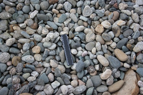 Kamenclub.ru: Галька речная окат (пестрая) фр. 20-40 мм. купить  в Ростове-на-Дону галька речная пестрая, серая, серые оттенки галька речная окатанная округлая 5000 руб/т   фото КАМЕНЬ КЛУБ