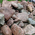 Kamenclub.ru: Конгломераты фр. 300-1000 мм.  купить в Ростове-на-Дону кварц мрамор диабаз коричневый, серый зеленоватый речной валун крупный 6500 руб/т   фото КАМЕНЬ КЛУБ