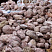 Kamenclub.ru: Розовый валунчик фр.100-300 мм.  купить в Ростове-на-Дону крупный природный камень розовый, серый молочный красный речной галечник природный 7850 руб/т   фото КАМЕНЬ КЛУБ