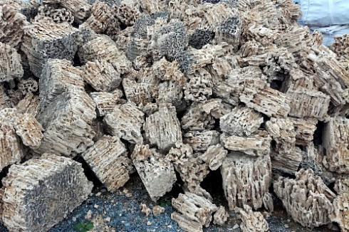 Kamenclub.ru: Крымский природный меотис фр. 100-500 мм.  купить в Ростове-на-Дону меотис бежевый рыжий молочный желтый ракушечник 4 500 руб/т   фото КАМЕНЬ КЛУБ