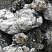 Kamenclub.ru: Черный гранит - кварцит фр. 100-500 мм.  купить в Ростове-на-Дону мрамор гранит черный с белыми прожилками, серый, белый валун скальный колотый 7000 руб/т   фото КАМЕНЬ КЛУБ