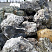Kamenclub.ru: Черный гранит - кварцит фр. 500-1000 мм.  купить в Ростове-на-Дону гранит кварцит черный серый белый скальный колотый валун 9750 руб/т   фото КАМЕНЬ КЛУБ