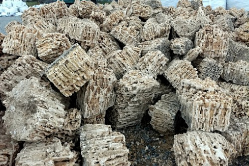 Kamenclub.ru: Крымский природный меотис фр. 100-500 мм.  купить в Ростове-на-Дону меотис бежевый рыжий молочный желтый ракушечник 4 500 руб/т   фото КАМЕНЬ КЛУБ