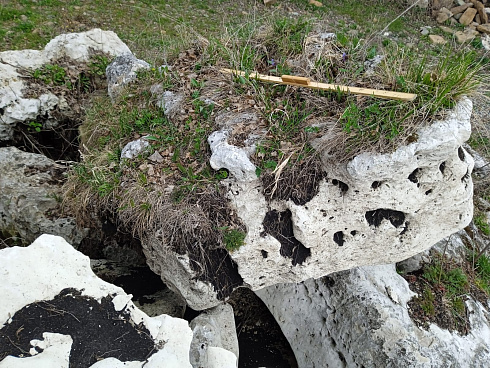 Kamenclub.ru: Выветренный известняк со мхом фр. 100-500 мм.  купить в Ростове-на-Дону известняк серый белый зеленый валун известняковый крупный 10000 руб/т   фото КАМЕНЬ КЛУБ