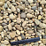 Kamenclub.ru: Галька речная окат рыжая фр. 20-40 мм. купить  в Ростове-на-Дону галька речная окатанная рыжая желтая серая округлая речная галька 5000 руб/т   фото КАМЕНЬ КЛУБ