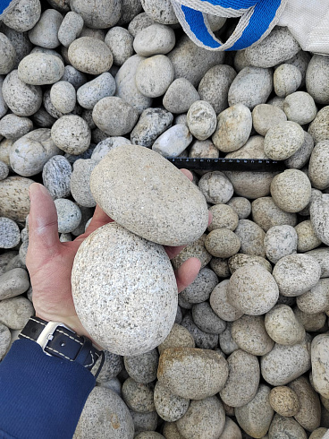 Kamenclub.ru: Галька речная окат (серо-белая) фр. 70-120 мм купить  в Ростове-на-Дону галька галечник бело-серая, серо-белая, серая, белая речная природная галька  8000 руб/т   фото КАМЕНЬ КЛУБ