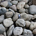 Kamenclub.ru: Темно-серый валунчик фр.100-300 мм.  купить в Ростове-на-Дону крупный природный камень серый, темно-серый, светло-серый речная галька большого размера окатанная 4500 руб/т   фото КАМЕНЬ КЛУБ