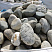 Kamenclub.ru: Речной валун (Ассорти) фр.100-300 мм.  купить в Ростове-на-Дону галечник серый, темно-серый, светло-серый речная галька крупных размеров 4200 руб/т   фото КАМЕНЬ КЛУБ