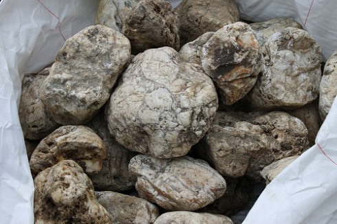 Kamenclub.ru: Кварцевый валунчик фр.100-300 мм.  купить в Ростове-на-Дону кварц белый, бежевый молочный рыжий крупный природный камень галечник 7850 руб/т   фото КАМЕНЬ КЛУБ