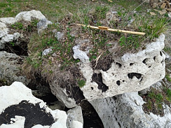 Kamenclub.ru: Выветренный известняк (степной) фр. 500-1500 мм.  купить в Ростове-на-Дону    10000 руб/т   фото КАМЕНЬ КЛУБ