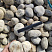 Kamenclub.ru: Галька речная окат (серо-белая) фр. 70-120 мм купить  в Ростове-на-Дону галька галечник бело-серая, серо-белая, серая, белая речная природная галька  8000 руб/т   фото КАМЕНЬ КЛУБ