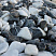 Kamenclub.ru: Мраморная крошка (щебень галтованный микс:: белый-черный) фр.20-40 мм  купить в Ростове-на-Дону мрамор белый, черный мраморный галтованный щебень 15500 руб/т   фото КАМЕНЬ КЛУБ