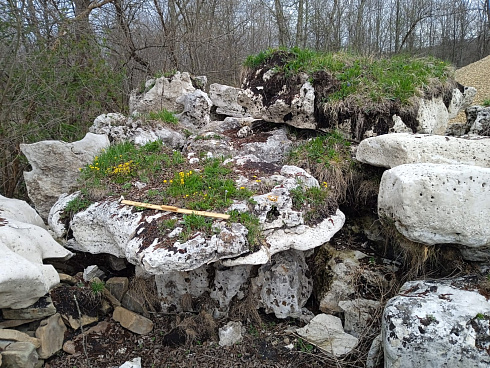 Kamenclub.ru: Выветренный известняк со мхом фр. 100-500 мм.  купить в Ростове-на-Дону известняк серый белый зеленый валун известняковый крупный 10000 руб/т   фото КАМЕНЬ КЛУБ