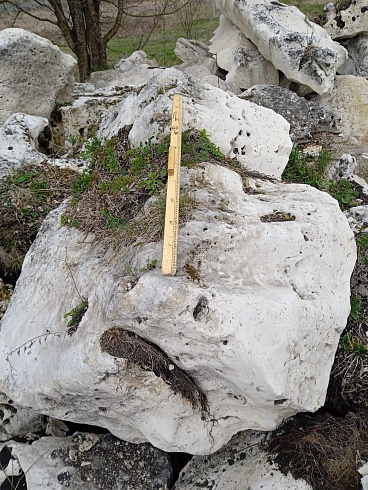 Kamenclub.ru: Выветренный известняк со мхом фр. 100-500 мм.  купить в Ростове-на-Дону известняк серый белый зеленый валун известняковый крупный 10000 руб/т   фото КАМЕНЬ КЛУБ