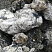 Kamenclub.ru: Черный гранит - кварцит фр. 100-500 мм.  купить в Ростове-на-Дону мрамор гранит черный с белыми прожилками, серый, белый валун скальный колотый 7000 руб/т   фото КАМЕНЬ КЛУБ