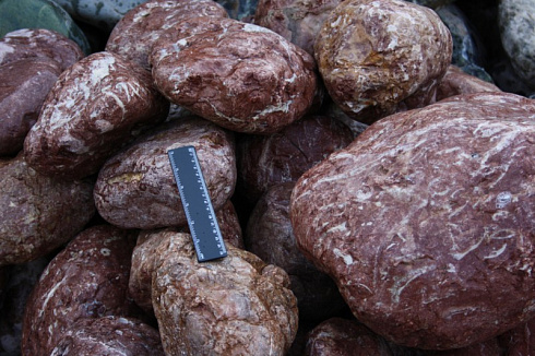 Kamenclub.ru: Розовый валунчик фр.100-300 мм.  купить в Ростове-на-Дону крупный природный камень розовый, серый молочный красный речной галечник природный 7850 руб/т   фото КАМЕНЬ КЛУБ