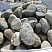 Kamenclub.ru: Речной валун (Ассорти) фр.100-300 мм.  купить в Ростове-на-Дону галечник серый, темно-серый, светло-серый речная галька крупных размеров 4200 руб/т   фото КАМЕНЬ КЛУБ