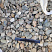 Kamenclub.ru: Галька речная окат (пестрая) фр. 20-40 мм. купить  в Ростове-на-Дону галька речная пестрая, серая, серые оттенки галька речная окатанная округлая 5000 руб/т   фото КАМЕНЬ КЛУБ