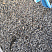 Kamenclub.ru: Галька речная окат (серая) фр.3-5 мм купить  в Ростове-на-Дону галька речная серая бежевый темно-серый окатанный речной камень округлый 9500 руб/т   фото КАМЕНЬ КЛУБ