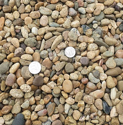 Kamenclub.ru: Галька окат (серо-желтая) фр.10-20 мм. купить  в Ростове-на-Дону галька серо-желтая, рыжая, серый речная окатанная округлая галька 5000 руб/т   фото КАМЕНЬ КЛУБ