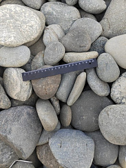 Kamenclub.ru: Галька речная плоская (ассорти) фр. 70-150 мм. купить в Ростове-на-Дону галька галечник серый белый темно-серый синий светло-серый плоская природная галька  9000 руб/т   фото КАМЕНЬ КЛУБ