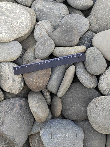 Kamenclub.ru: Галька речная плоская (серо-белая) фр. 70-120 мм. купить  в Ростове-на-Дону галька галечник речной серый, белый окатанная плоская  природная галька 9000 руб/т   фото КАМЕНЬ КЛУБ