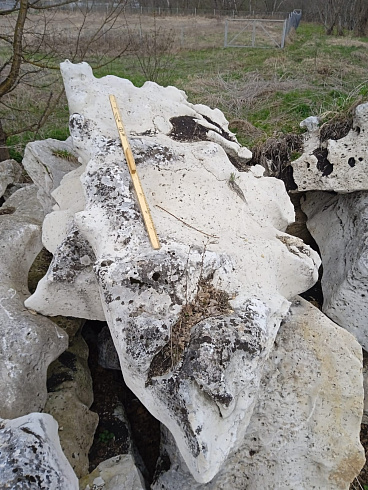 Kamenclub.ru: Выветренный известняк со мхом фр. 100-500 мм.  купить в Ростове-на-Дону известняк серый белый зеленый валун известняковый крупный 10000 руб/т   фото КАМЕНЬ КЛУБ