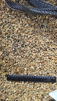 Kamenclub.ru: Галька окат (серо-желтая) фр.5-10 мм. купить  в Ростове-на-Дону галька речная рыжий, желтый, рыжий, серо-желтый речная окатанная галька декоративная 5000 руб/т   фото КАМЕНЬ КЛУБ