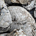 Kamenclub.ru: Кварцевый валунчик фр.100-300 мм.  купить в Ростове-на-Дону кварц белый, бежевый молочный рыжий крупный природный камень галечник 7850 руб/т   фото КАМЕНЬ КЛУБ