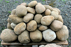 Kamenclub.ru: Песчаник ядра, фр. 100-300 мм  купить в Ростове-на-Дону песчаник бежевый серый рыжий речная галька 5 000 руб/т   фото КАМЕНЬ КЛУБ