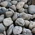 Kamenclub.ru: Речной валун (Ассорти) фр.100-300 мм.  купить в Ростове-на-Дону галечник серый, темно-серый, светло-серый речная галька крупных размеров 4200 руб/т   фото КАМЕНЬ КЛУБ