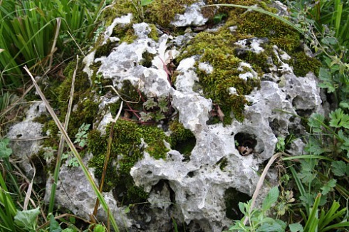 Kamenclub.ru: Выветренный известняк со мхом фр. 100-500 мм.  купить в Ростове-на-Дону известняк серый белый зеленый валун известняковый крупный 10000 руб/т   фото КАМЕНЬ КЛУБ