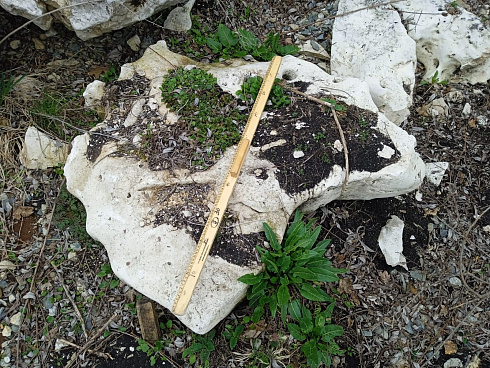 Kamenclub.ru: Выветренный известняк (степной) фр. 500-1500 мм.  купить в Ростове-на-Дону    10000 руб/т   фото КАМЕНЬ КЛУБ