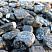 Kamenclub.ru: Щебень галтованный черный (мрамор) фр.20-40 мм.  купить в Ростове-на-Дону мрамор черный с белыми прожилками мрамор окатанный округлый 15000 руб/т   фото КАМЕНЬ КЛУБ