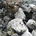 Kamenclub.ru: Черный гранит - кварцит фр. 100-500 мм.  купить в Ростове-на-Дону мрамор гранит черный с белыми прожилками, серый, белый валун скальный колотый 7000 руб/т   фото КАМЕНЬ КЛУБ