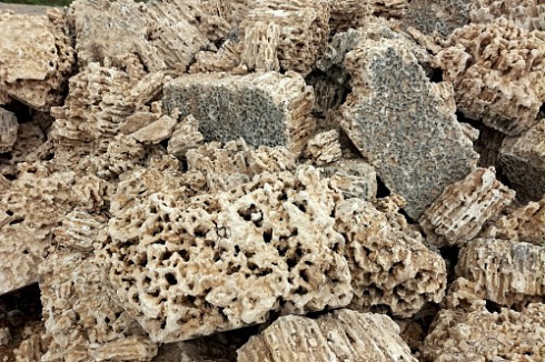 Kamenclub.ru: Крымский природный меотис фр. 100-500 мм.  купить в Ростове-на-Дону меотис бежевый рыжий молочный желтый ракушечник 4 500 руб/т   фото КАМЕНЬ КЛУБ