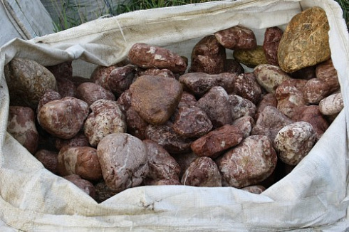 Kamenclub.ru: Розовый валунчик фр.100-300 мм.  купить в Ростове-на-Дону крупный природный камень розовый, серый молочный красный речной галечник природный 7850 руб/т   фото КАМЕНЬ КЛУБ